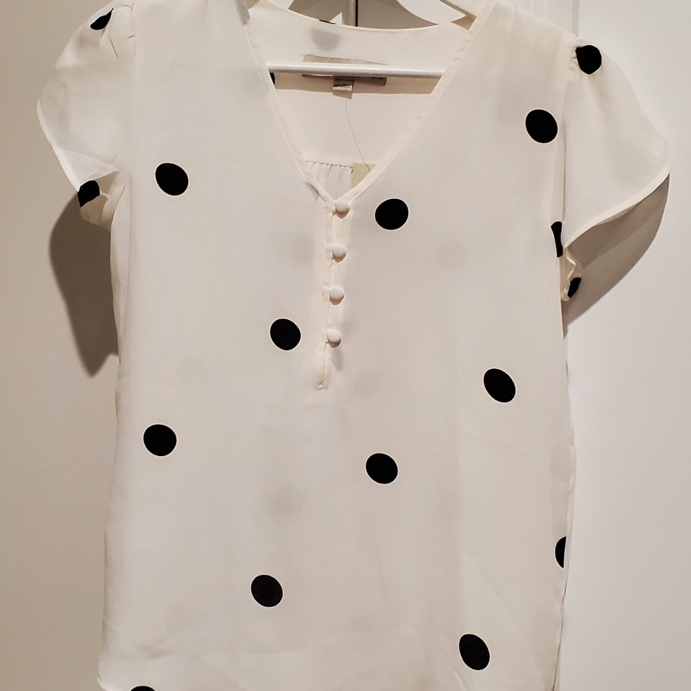 NWT Loft polka dot top